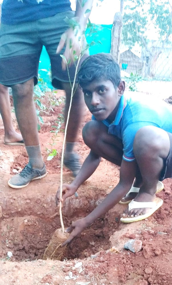 planting in Annai Nagar